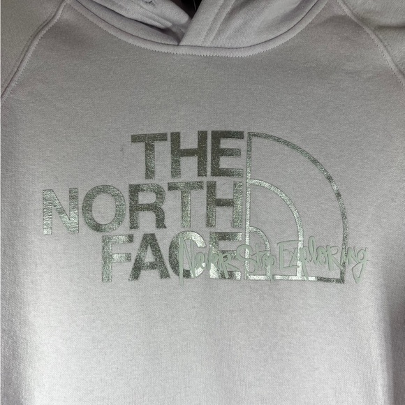 The North Face Hoodie Women Half Dome Sweatshirt Never Stop Exploring Sz L - Picture 4 of 6